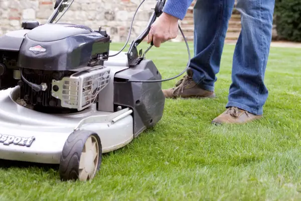 Garden problems solved - brown lawn