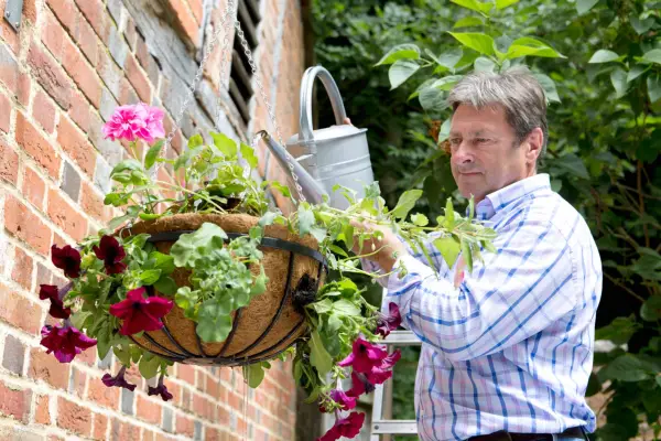 Garden problems solved - dry and wilting plants