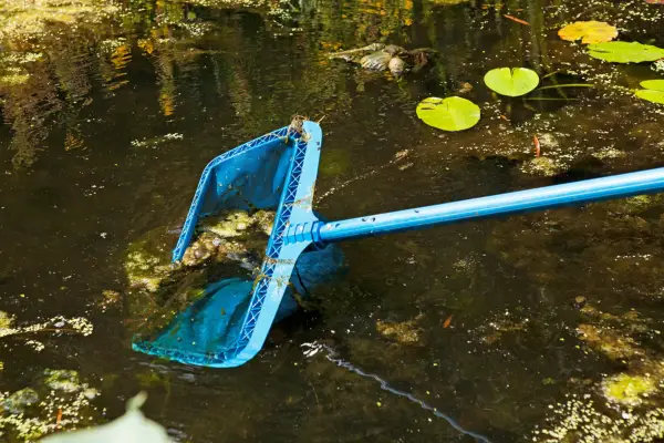 Removing blanket weed with a net
