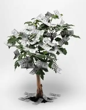 Cómo hacer un árbol de dinero para una fiesta