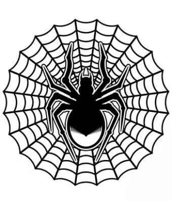 tatuaggio ragnatela