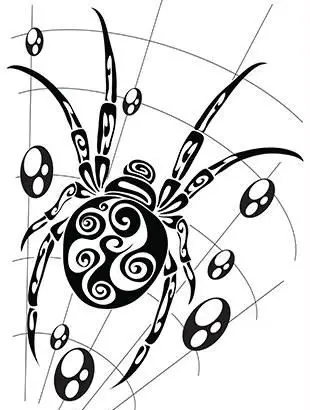 Ragno ornato nel web