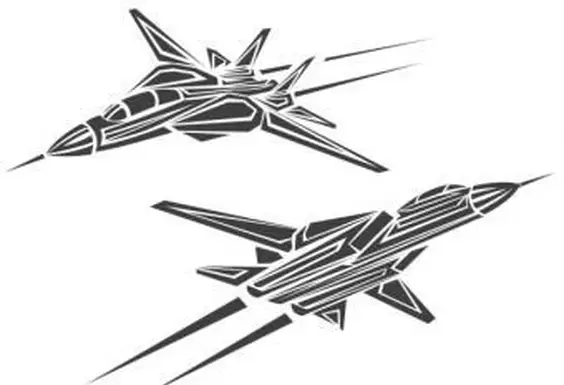 전투기 문신 예술