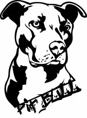 Ďalšia štúdia vedúca PB