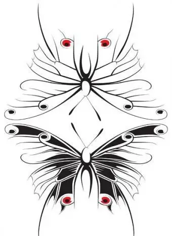borboletas com olhos únicos