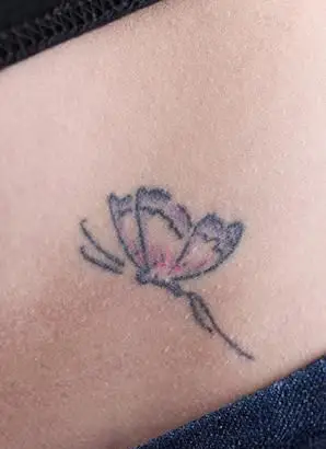 Tipos de tatuagens de borboletas