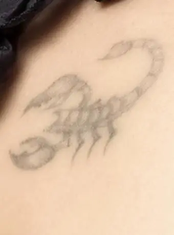 https://cf.ltkcdn.net/tattoos/images/slide/189642-609x850-delicate-scorpion.webp