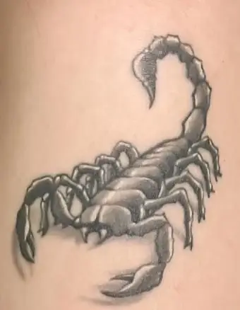 https://cf.ltkcdn.net/tattoos/images/slide/189635-638x850-scorpio.webp