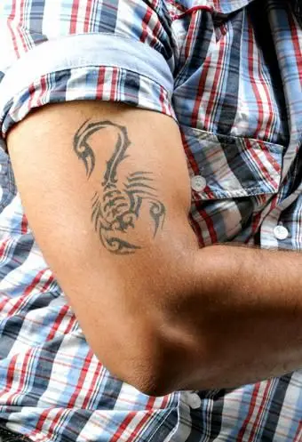 Skorpion und Skorpion Tattoo Bilder