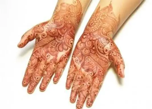 赤茶色のヘナで行われた複雑なブライダルタトゥー。 ©エスニカ| Dreamstime.com