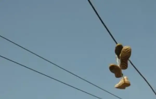 עובדות על בני נוער המצטרפים לכנופיות