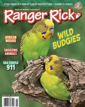 ריינג'ר ריק מנוי למגזין