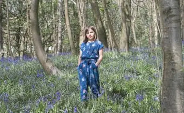 Niño de pie en la cañada bluebell