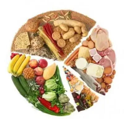 10代の若者のためのマイプレート