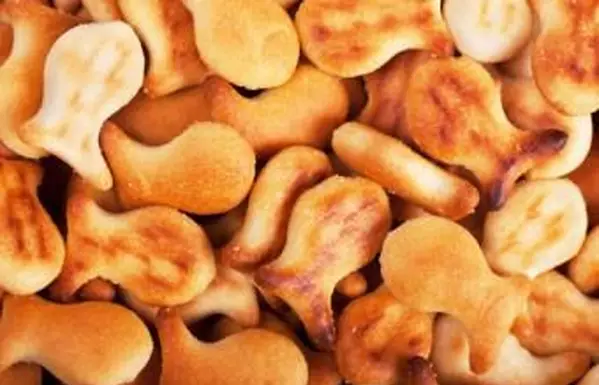 Sušienky so zlatými rybkami; autorské práva Artem Gorohov na agentúre Dreamstime.com