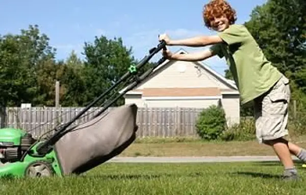 Letnie programy zatrudnienia młodzieży i pomysły na pracę