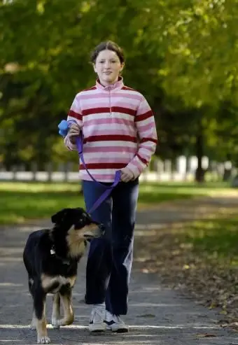 ドッグウォーカー