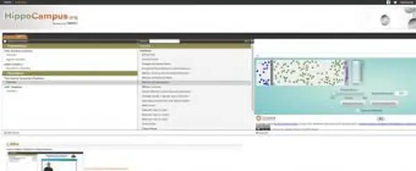 海馬のウェブサイトのスクリーンショット