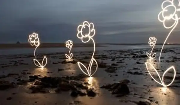 ビーチの明るい花