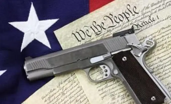 총과 헌법