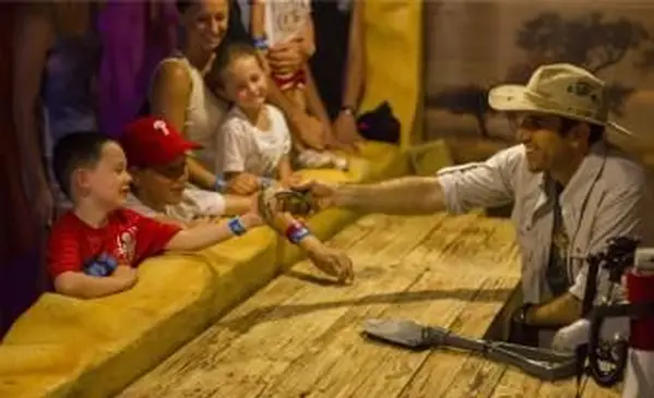 Mundo de los dinosaurios