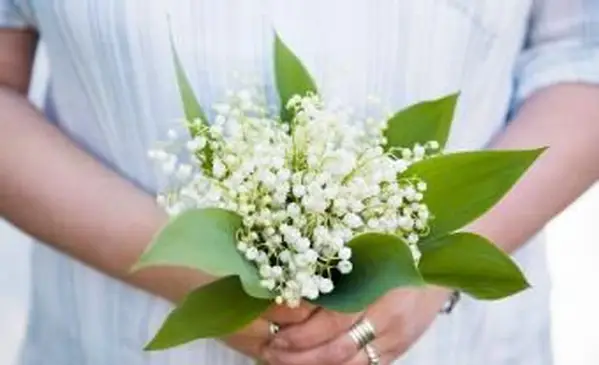 May Birth Flowers : A Look at Lily of the Valley & Hawthorn