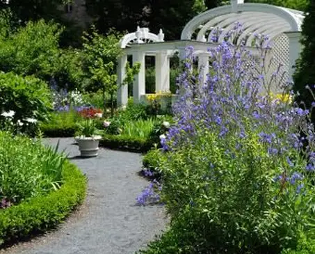 Esempio di giardino cottage inglese