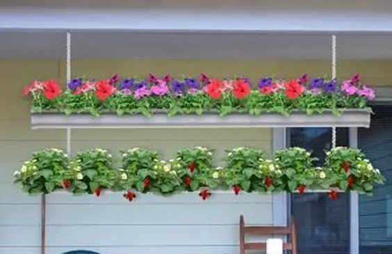 Giardini di grondaie