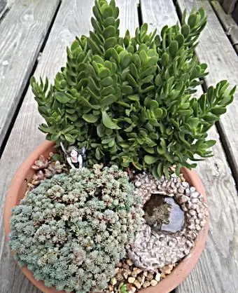 Ako si vyrobiť rozprávkovú záhradu