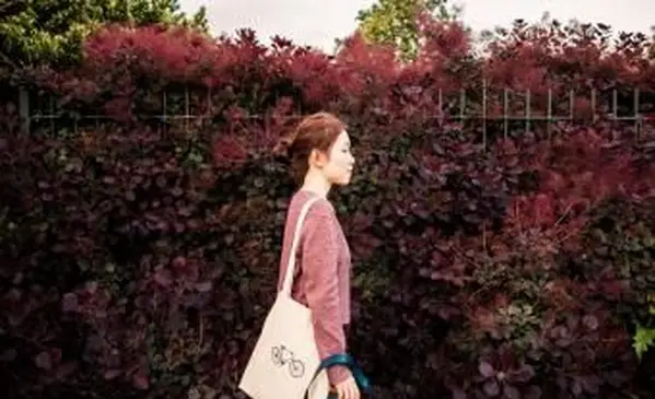 לשם מה משתמשים בשקיות?