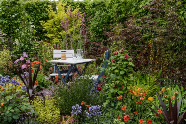 The Hillier Experience will be brimming with planting inspiration and opportunities to buy