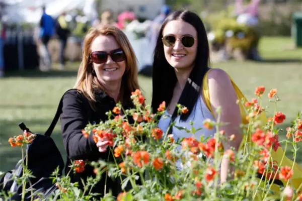 Snap up some spring bargains for your garden in the plant and garden shopping