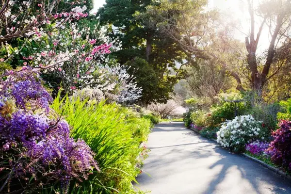 Sydney Botanic Garden in spring
