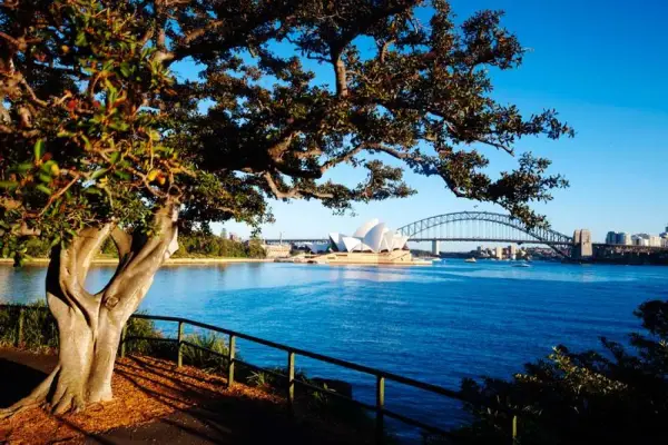 Dawn at Mrs Macquaries Point, Sydney