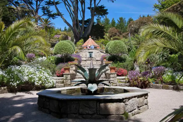 Tresco Abbey Garden