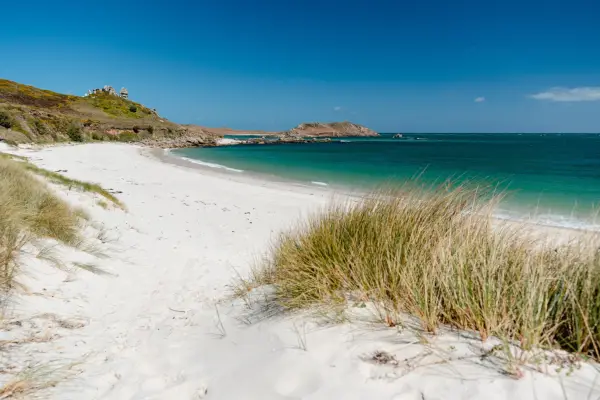 Windswept dues at St Martins