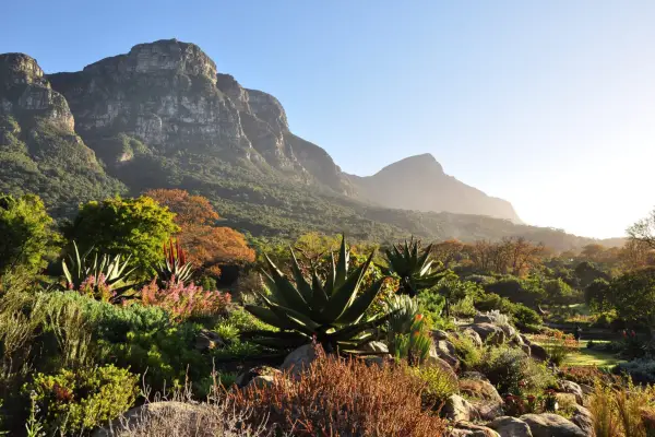 2048x1365_KIRSTENBOSCH-winter-morning-b4-June-ALN-001