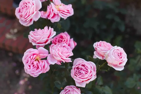 Portland, Oregon Travel Guide 