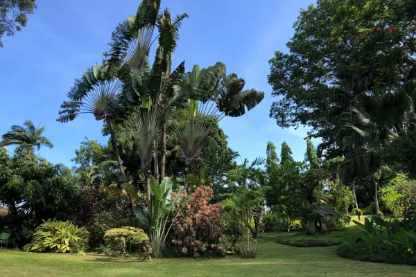 Sunny Side Garden, Grenada