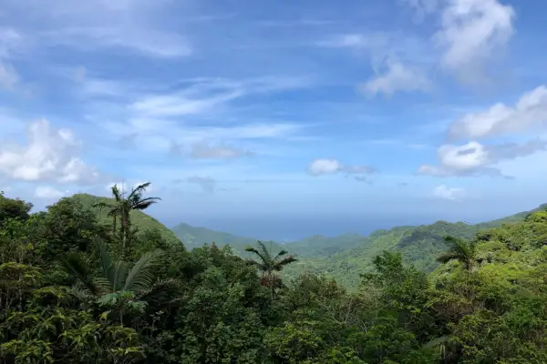 Grand Etang Rainforest, Grenada