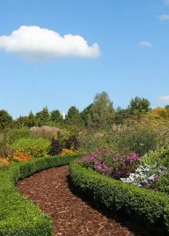 Żywopłot bukszpanowy w ogrodzie