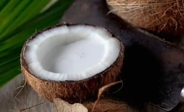 בשר קוקוס לבן וחלב