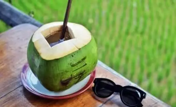 משקה מי קוקוס טרי עם קש