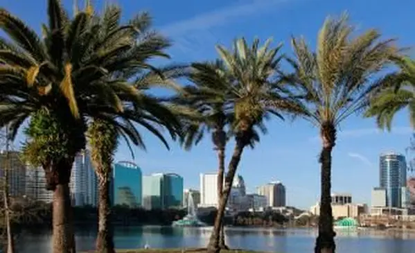 Tetto palapa in foglie di palma palm