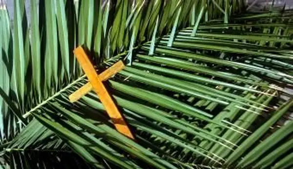 Foglia di palma gialla