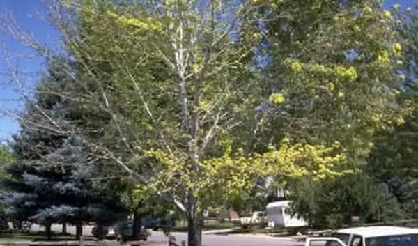 Flickr 사용자 deb roby