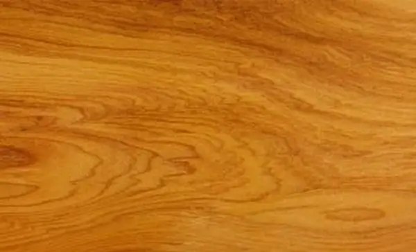 Pannello in legno di tasso