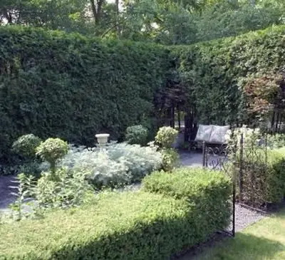 פינת גן עם גדר חיה