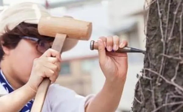 Méthode de traçage de l'écorce