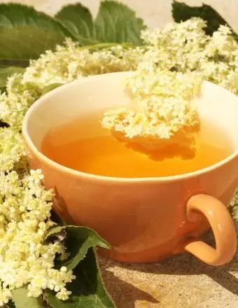 Xícara de chá de sabugueiro